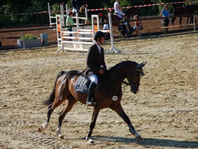 Jezdecky FEI World Championships Aachen 2026